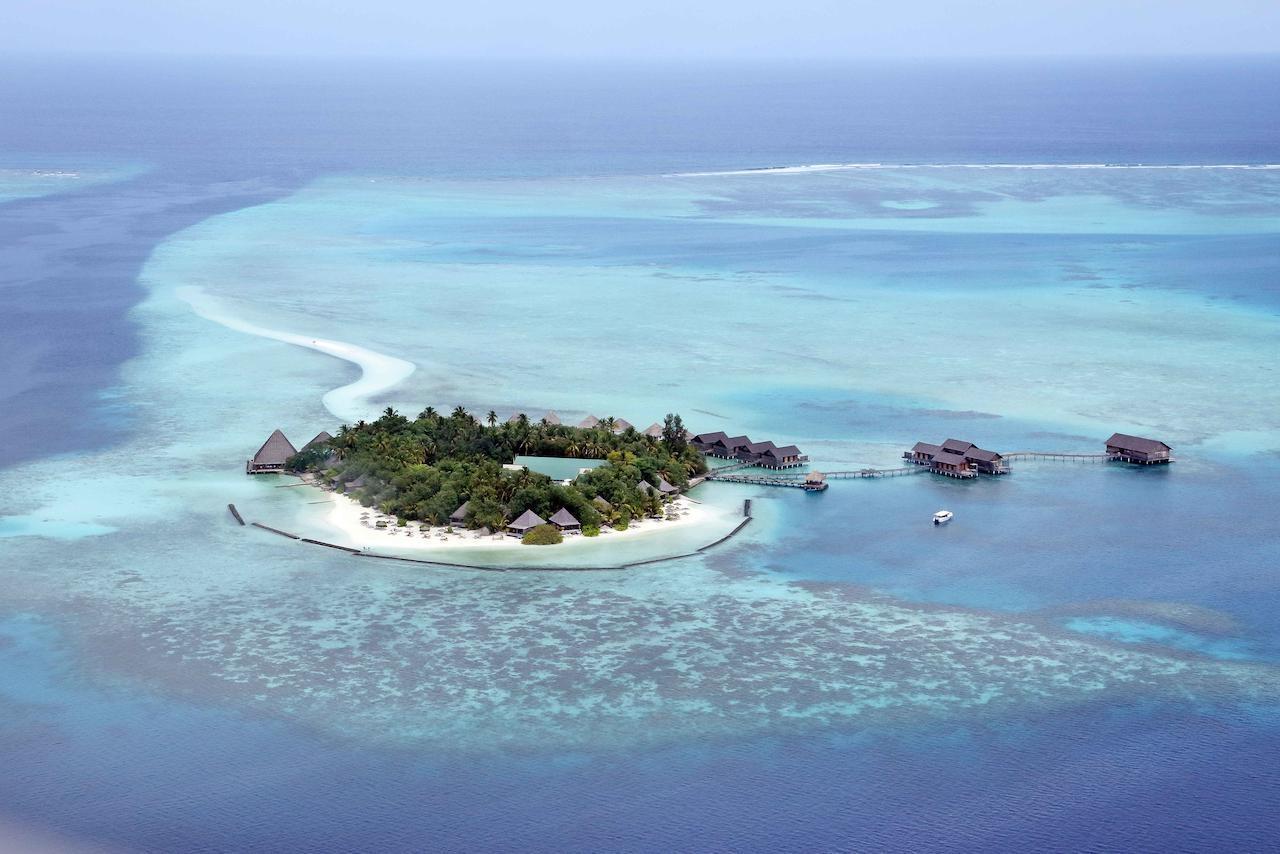 Island &