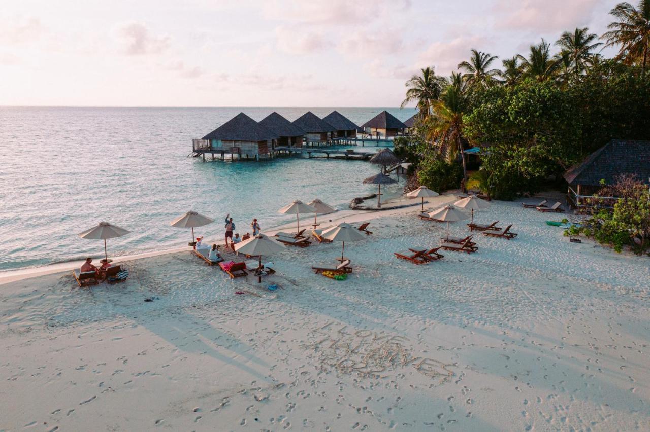 Island &