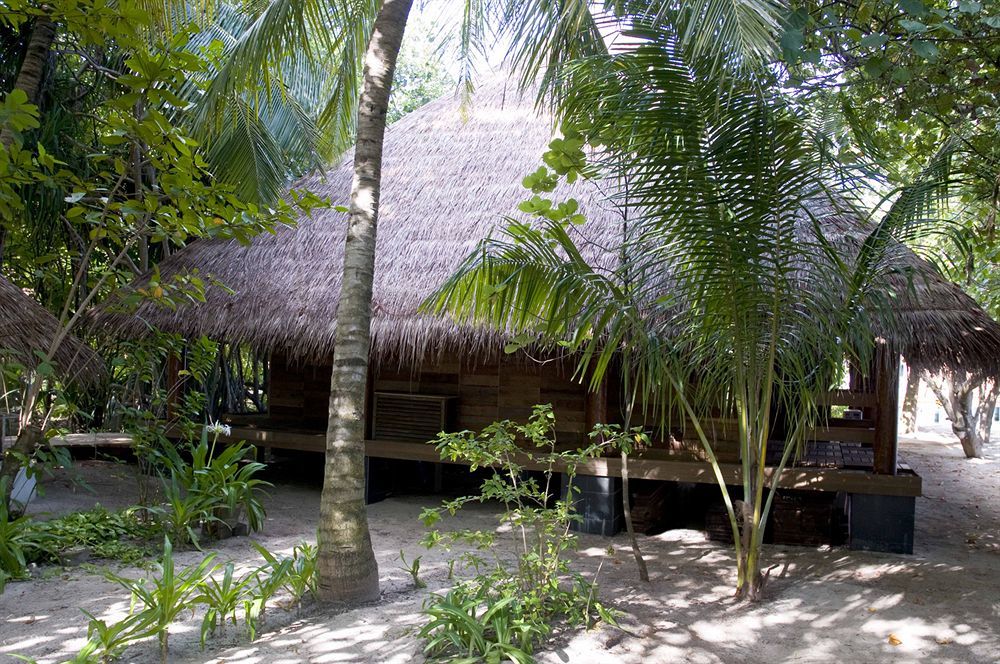 Island & 4* Gangehi