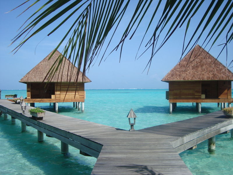 Island & 4* Gangehi