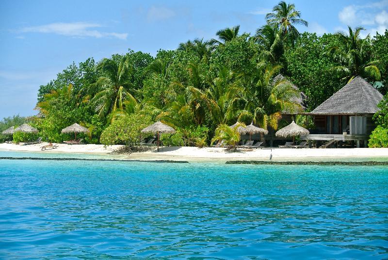 Island & Gangehi