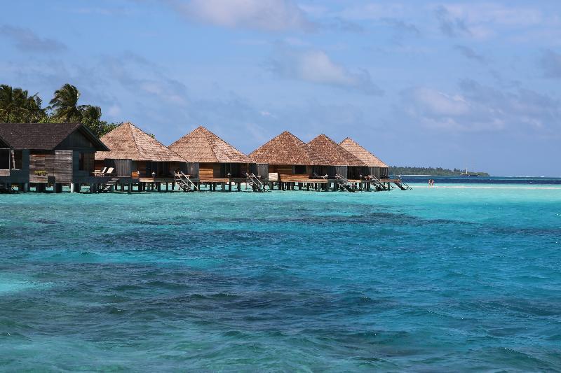 Resort Island & 4*